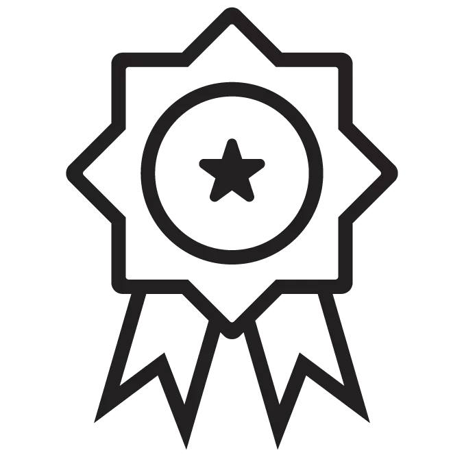 excellence icon